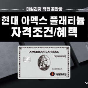 현대 아멕스 플래티늄