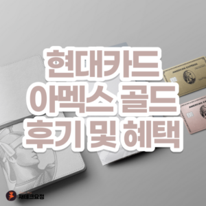 현대 아멕스 골드