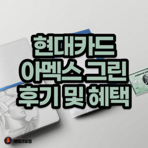 현대 아멕스 그린
