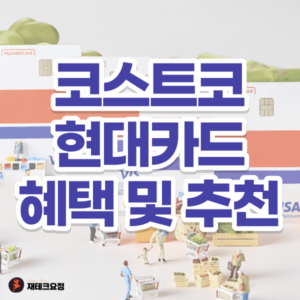 코스트코 현대카드 아무거나
