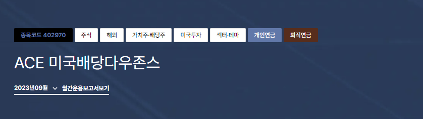 ACE 미국배당다우존스