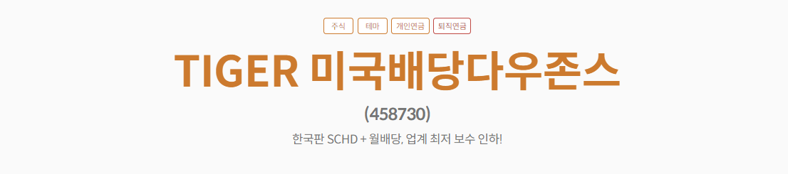 TIGER 미국배당다우존스