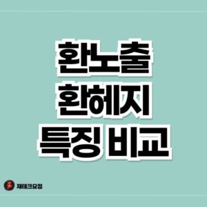 환노출 환헤지 비교