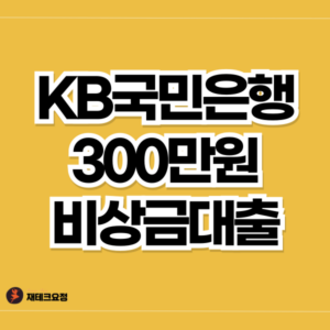 국민은행 비상금대출 초건